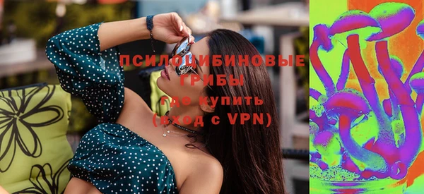 соль ск Белокуриха